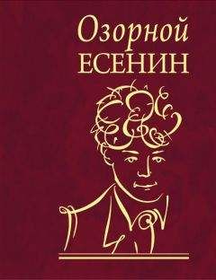 Читайте книги онлайн на Bookidrom.ru! Бесплатные книги в одном клике Сергей Есенин - Озорной Есенин