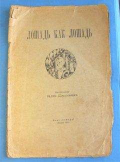 Читайте книги онлайн на Bookidrom.ru! Бесплатные книги в одном клике Вадим Шершеневич - Лошадь как лошадь. Третья книга лирики