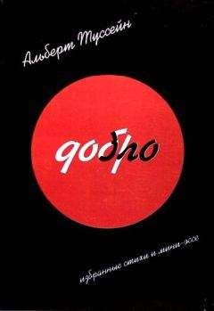 Читайте книги онлайн на Bookidrom.ru! Бесплатные книги в одном клике Альберт Туссейн - Добро Зло