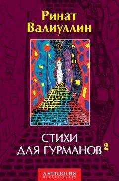 Читайте книги онлайн на Bookidrom.ru! Бесплатные книги в одном клике Ринат Валиуллин - Стихи для гурманов 2