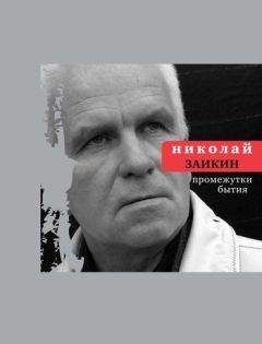 Читайте книги онлайн на Bookidrom.ru! Бесплатные книги в одном клике Николай Заикин - Промежутки бытия