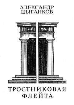 Читайте книги онлайн на Bookidrom.ru! Бесплатные книги в одном клике Александр Цыганков - Тростниковая флейта: Первая книга стихов