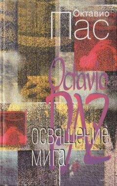 Читайте книги онлайн на Bookidrom.ru! Бесплатные книги в одном клике Октавио Пас - Освящение мига