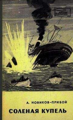 Читайте книги онлайн на Bookidrom.ru! Бесплатные книги в одном клике Алексей Новиков-Прибой - Соленая купель