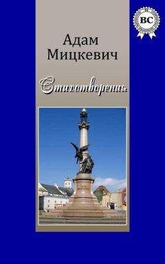 Читайте книги онлайн на Bookidrom.ru! Бесплатные книги в одном клике Адам Мицкевич - Стихотворения