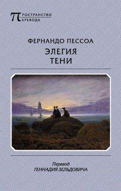 Читайте книги онлайн на Bookidrom.ru! Бесплатные книги в одном клике Фернандо Пессоа - Элегия тени