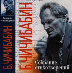 Читайте книги онлайн на Bookidrom.ru! Бесплатные книги в одном клике Борис Чичибабин - Собрание стихотворений