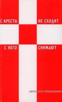 Читайте книги онлайн на Bookidrom.ru! Бесплатные книги в одном клике Монах афонский - С креста не сходят - с него снимают (Избранное)
