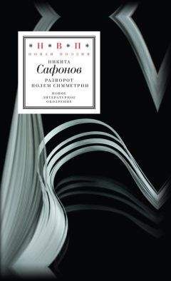 Читайте книги онлайн на Bookidrom.ru! Бесплатные книги в одном клике Никита Сафонов - Разворот полем симметрии