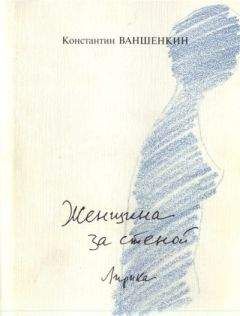 Читайте книги онлайн на Bookidrom.ru! Бесплатные книги в одном клике Константин Ваншенкин - Женщина за стеной. Лирика