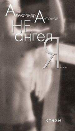 Читайте книги онлайн на Bookidrom.ru! Бесплатные книги в одном клике Александр Антонов - Не ангел я…