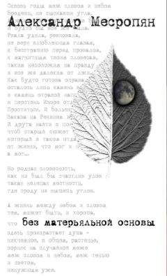 Читайте книги онлайн на Bookidrom.ru! Бесплатные книги в одном клике Александр Месропян - Без матерьяльной основы