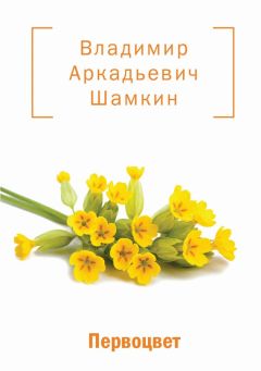 Читайте книги онлайн на Bookidrom.ru! Бесплатные книги в одном клике Владимир Шамкин - Первоцвет (сборник)