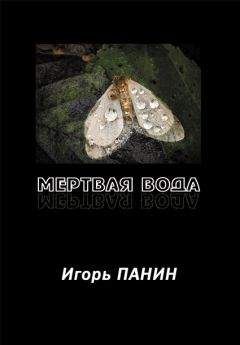 Читайте книги онлайн на Bookidrom.ru! Бесплатные книги в одном клике Игорь Панин - Мертвая вода: Стихи.