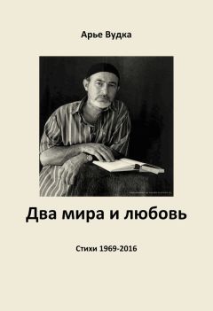 Читайте книги онлайн на Bookidrom.ru! Бесплатные книги в одном клике Арье Вудка - Два мира и любовь