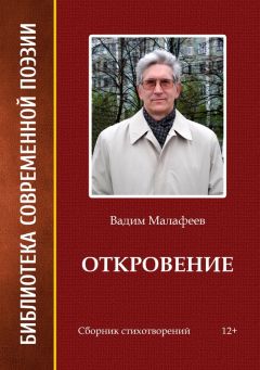 Читайте книги онлайн на Bookidrom.ru! Бесплатные книги в одном клике Вадим Малафеев - Откровение