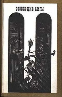 Читайте книги онлайн на Bookidrom.ru! Бесплатные книги в одном клике Дора Кастельянос - Лирика [Созвездие лиры: Избранные страницы латиноамериканской лирики]