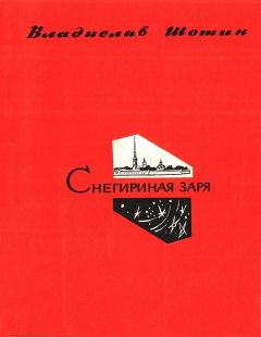 Читайте книги онлайн на Bookidrom.ru! Бесплатные книги в одном клике Владислав Шошин - Снегириная заря