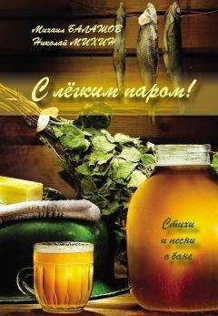 Читайте книги онлайн на Bookidrom.ru! Бесплатные книги в одном клике Николай Михин - С легким паром!