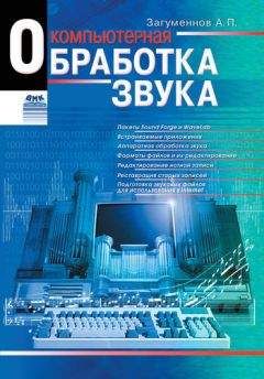 Александр Загуменнов - Компьютерная обработка звука