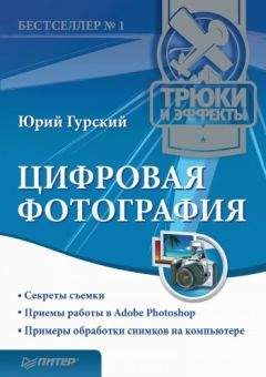 Читайте книги онлайн на Bookidrom.ru! Бесплатные книги в одном клике Юрий Гурский - Цифровая фотография. Трюки и эффекты