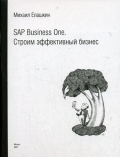 Читайте книги онлайн на Bookidrom.ru! Бесплатные книги в одном клике Михаил Елашкин - SAP Business One. Строим эффективный бизнес