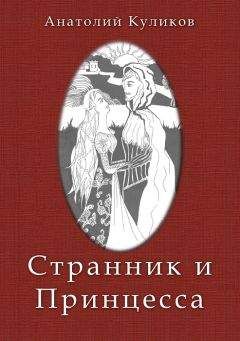 Читайте книги онлайн на Bookidrom.ru! Бесплатные книги в одном клике Анатолий Куликов - Странник и принцесса