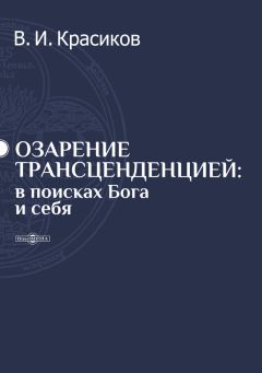 Читайте книги онлайн на Bookidrom.ru! Бесплатные книги в одном клике Владимир Красиков - Озарение трансценденцией