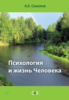 Читайте книги онлайн на Bookidrom.ru! Бесплатные книги в одном клике Алексей Соколов - Психология и жизнь Человека