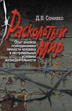Читайте книги онлайн на Bookidrom.ru! Бесплатные книги в одном клике Дмитрий Сочивко - Расколотый мир. Опыт анализа психодинамики личности человека в экстремальных условиях жизнедеятельности