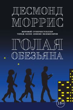 Читайте книги онлайн на Bookidrom.ru! Бесплатные книги в одном клике Десмонд Моррис - Голая обезьяна (сборник)