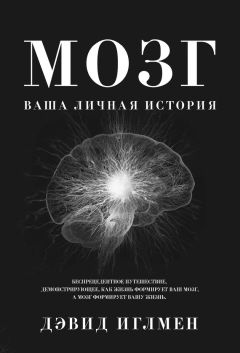 Читайте книги онлайн на Bookidrom.ru! Бесплатные книги в одном клике Дэвид Иглмен - Мозг: Ваша личная история