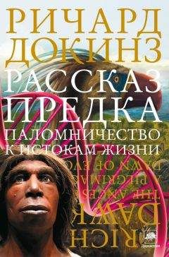 Читайте книги онлайн на Bookidrom.ru! Бесплатные книги в одном клике Ричард Докинз - Рассказ предка. Паломничество к истокам жизни