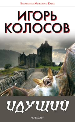 Читайте книги онлайн на Bookidrom.ru! Бесплатные книги в одном клике Игорь Колосов - Идущий