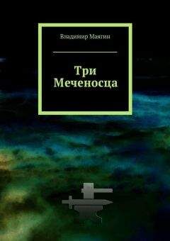 Читайте книги онлайн на Bookidrom.ru! Бесплатные книги в одном клике Владимир Маягин - Три Меченосца