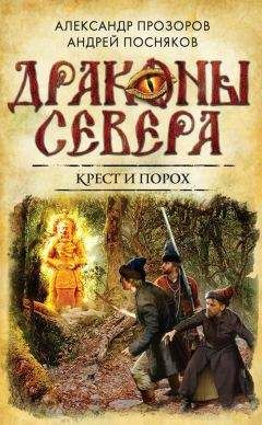 Читайте книги онлайн на Bookidrom.ru! Бесплатные книги в одном клике Андрей Посняков - Крест и порох