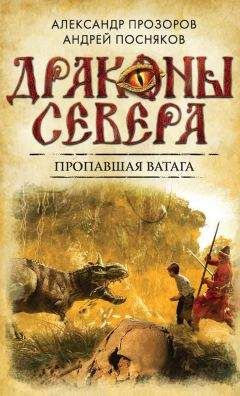 Читайте книги онлайн на Bookidrom.ru! Бесплатные книги в одном клике Андрей Посняков - Пропавшая ватага