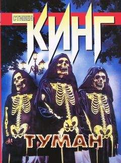 Читайте книги онлайн на Bookidrom.ru! Бесплатные книги в одном клике Стивен Кинг - Туман (сборник)