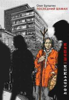 Читайте книги онлайн на Bookidrom.ru! Бесплатные книги в одном клике Олег Булыгин - Последний шаман