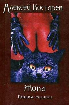 Читайте книги онлайн на Bookidrom.ru! Бесплатные книги в одном клике Алексей Костарев - Кошки-мышки