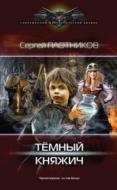 Читайте книги онлайн на Bookidrom.ru! Бесплатные книги в одном клике Сергей Плотников - Темный княжич