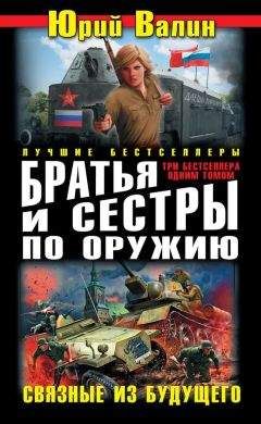 Читайте книги онлайн на Bookidrom.ru! Бесплатные книги в одном клике Юрий Валин - Братья и сестры по оружию. Связные из будущего (сборник)