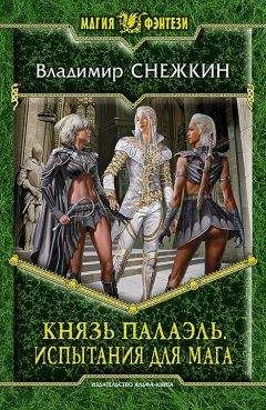 Читайте книги онлайн на Bookidrom.ru! Бесплатные книги в одном клике Владимир Снежкин - Князь Палаэль. Испытания для мага