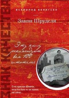 Читайте книги онлайн на Bookidrom.ru! Бесплатные книги в одном клике Всеволод Бенигсен - Закон Шруделя (сборник)