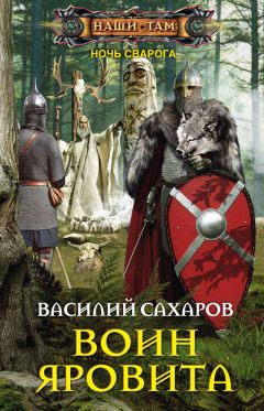 Читайте книги онлайн на Bookidrom.ru! Бесплатные книги в одном клике Василий Сахаров - Воин Яровита