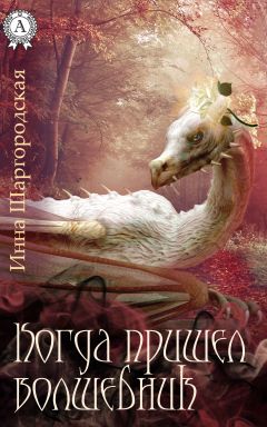 Читайте книги онлайн на Bookidrom.ru! Бесплатные книги в одном клике Инна Шаргородская - Когда пришел волшебник