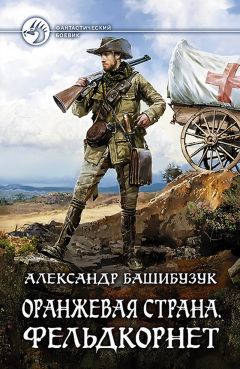 Читайте книги онлайн на Bookidrom.ru! Бесплатные книги в одном клике Александр Башибузук - Оранжевая страна. Фельдкорнет