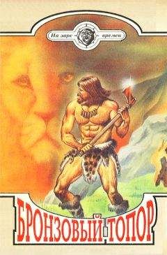 Читайте книги онлайн на Bookidrom.ru! Бесплатные книги в одном клике Владимир Головин - Бронзовый топор