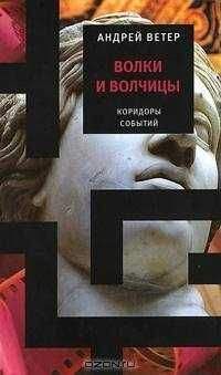 Читайте книги онлайн на Bookidrom.ru! Бесплатные книги в одном клике Андрей Ветер - Волки и волчицы