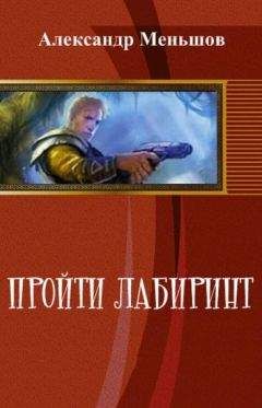 Читайте книги онлайн на Bookidrom.ru! Бесплатные книги в одном клике Александр Меньшов - Пройти лабиринт